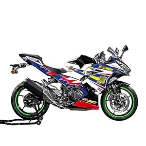 51tw4v6wqel. sl500 . ss300