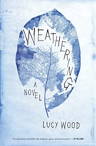 Weathering view 2