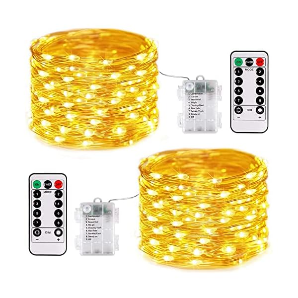 Jmexsuss copper string lights