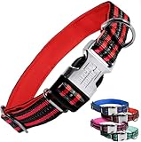 Black Rhino - Classic Striped Adjustable Dog Collar for Small Medium Large Breeds | 3m Reflective Threading | 4 Bright Colors - Matching Leashes Sold Separately (Red Striped, Medium)