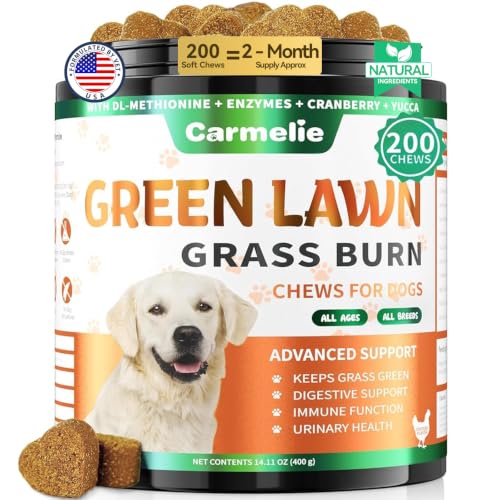 Carmelie Dog Urine Neutralizer for Lawn Grass Burn – Dog Pee Grass Chews 200ct Green Grass Burn Spot Chews for Dogs with DL-Methionine, Probiotics & Enzymes – Supports Urinary & Digestive Health