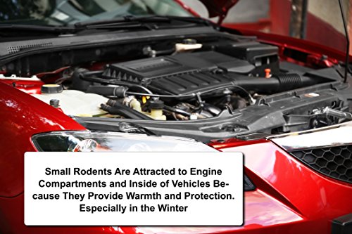 image for Natural Armor Mice/Mouse, Rat, Squirrel & Rodent Wire, Engine & Vehicl