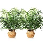 MOSADE Artificial Palm Tree 28”Fake Potted Areca Palm Plant with Handmade Seagrass Basket, Perfec...