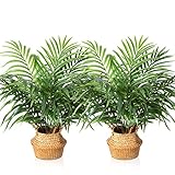 MOSADE Artificial Palm Tree 28”Fake Potted Areca Palm Plant with Handmade Seagrass Basket, Perfect F
