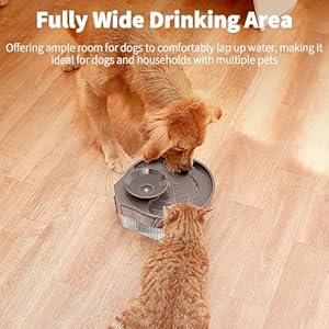 Dog-Water-Fountain-132gal169oz-Pet-Water-Fountain-with-Transparent-Design-and-3-Filters-Dog-Fountain-with-Quiet-Pump-Ideal-for-Dogs-and-Multi-pet-households - Cucciolini Doodles   Dog-Water-Fountain-132gal169oz-Pet-Water-Fountain-with-Transparent-Design-and-3-Filters-Dog-Fountain-with-Quiet-Pump-Ideal-for-Dogs-and-Multi-pet-households