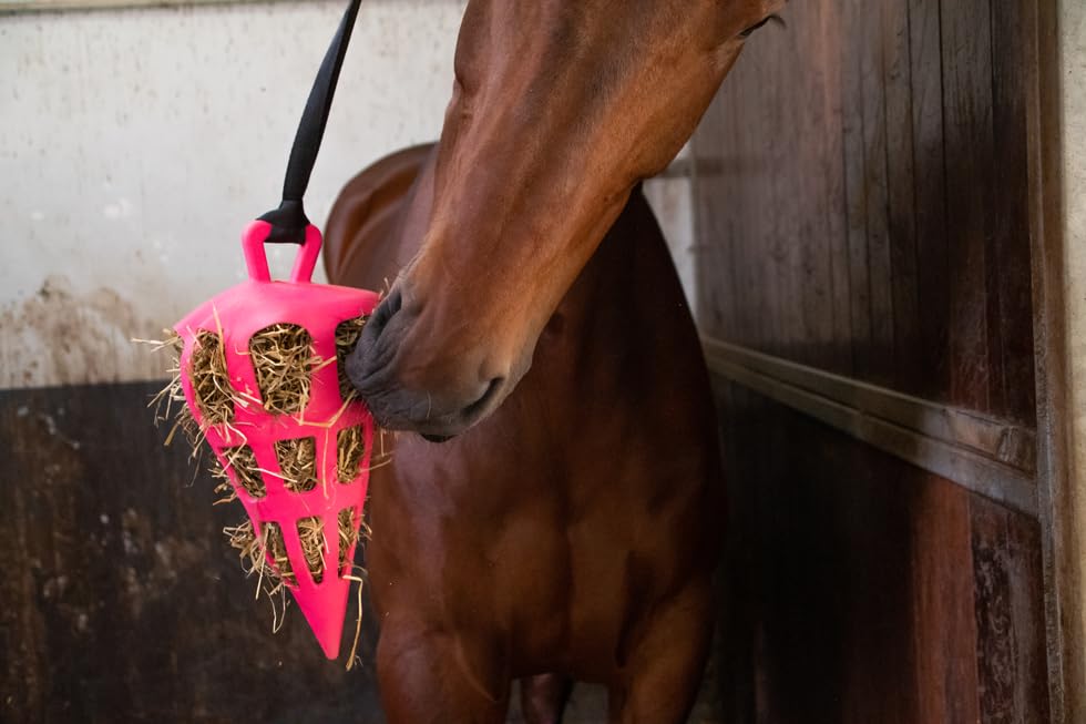 Holland Animal Care Hay Slowfeeder Fun&Flex Radice – Mangiatoia da fieno per cavalli – Adatto per animali da pascolo – Contro il decadimento della stalla – Promuove la salute – Fino a 1 kg di fieno