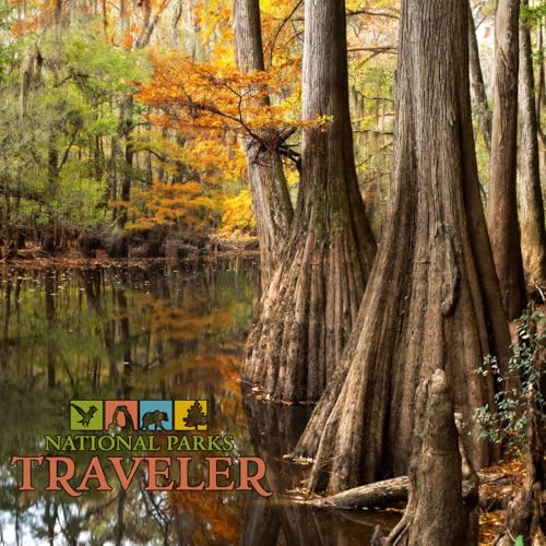 National Parks Traveler Podcast | Congaree's Big Trees