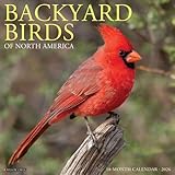 Willow Creek Press, Backyard Birds 2026 Wall Calendar, 12'' X 12'', 18-Month Calendar with Stapled Binding