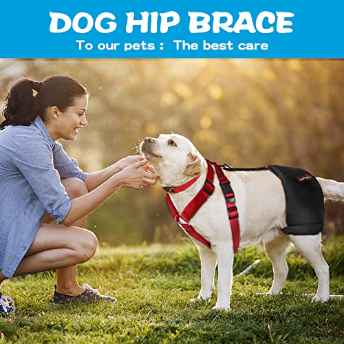 Risurry/Lispoo Dog Hip Support Brace Support Hip Dysplasi #TOP1