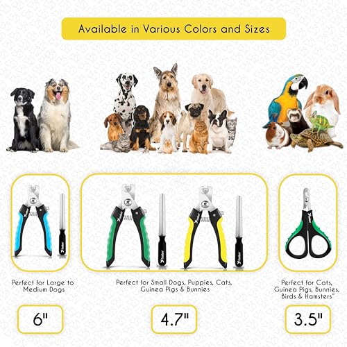 Candure Profi Krallenschere für Hunde und Katzen mit Nagelfeile Edelstahl Krallenzange Hohe Qualität Krallenpflege Schneider für Haustiere Nagelknipser groß Mit Sicherheitsschutz (Klein (XS), Gelb)