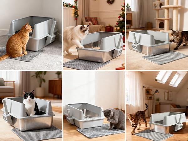 Caja de arena de acero inoxidable con tapa para interiores limpios 4