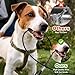 JJUNW 2 Stück Hausleine für Hunde, Hundeleine Chew Proof, Bissfeste Hundeleine Verlängerungsseil, Hundekette für Welpen Kleine Mittelgroße Große Hunde Joggen und Spazierengehen (67cm, Schwarz)