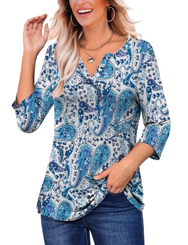 LIENRIDY Women's Plus Size 3/4 Sleeve Tops V Neck Henley Shirt Paisley Floral Tunic Tops Color 319 2X