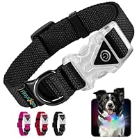 Collare Luminoso LED Per Cani E Gatti - Regolabile, Impermeabile, 7 Colori - Foto 9
