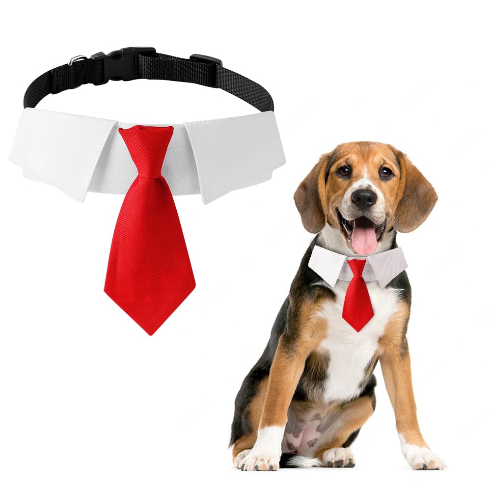 Collar para perro DOGTACT premium con corbata elegante para ocasiones especiales