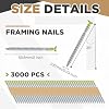 Yaocom Framing Nails, 30 Degree, Offset Round Head, Galvanized, 30 Degree Collated Framing Nails for Most 30-34 Degree, Paper Tape Collated Framing Nails, 2 x 0.113, 3000 Count