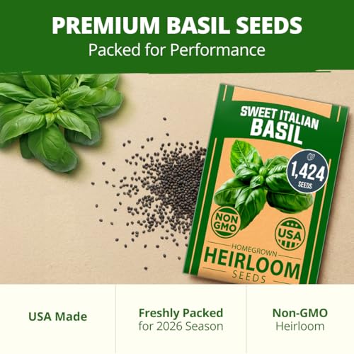 Image of HOME GROWN Non GMO Italian Basil Seeds Bulk Pack 1,424 Sweet Large Leaf Basil Seeds for Planting and Heirloom Herb Seeds for Planting Indoors or Outdoors (Ocimum basilicum)