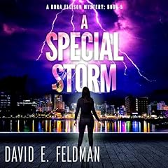 A Special Storm cover art