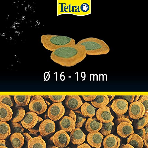 Tetra Pleco Algae Wafers - Fischfutter mit Spirulina-Algen für algenweidende Bodenfische, 250 ml Dose
