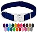 Country Brook Design - Vibrant 25 Color Selection - Premium Nylon Dog Collar with Metal Buckle (Large, 1 Inch, Royal Blue)