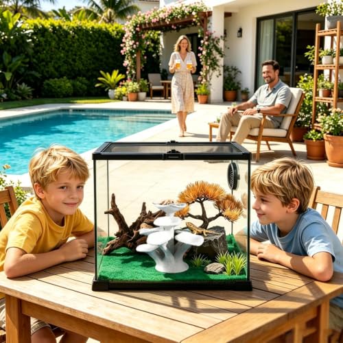 Plataforma para reptiles acuario hongo y accesorios terrario 3
