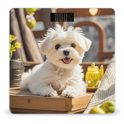 Báscula Digital para Baño Cute Maltese Puppy Dog