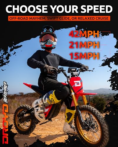 Droyd Berzerker 3000W Electric Bike