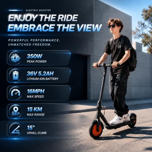 Fregogo 500W Electric Scooter