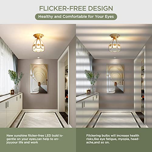 Ca New Sunshine 2 Pack 40W Led Light Bulb(300W Equivalent) 5000 Lumens 5000K Daylight White Led Bulbs E26/E27 Medium Base For Indoor Outdoor Street Office Warehouse Workshop Garage Backyard thumb #4
