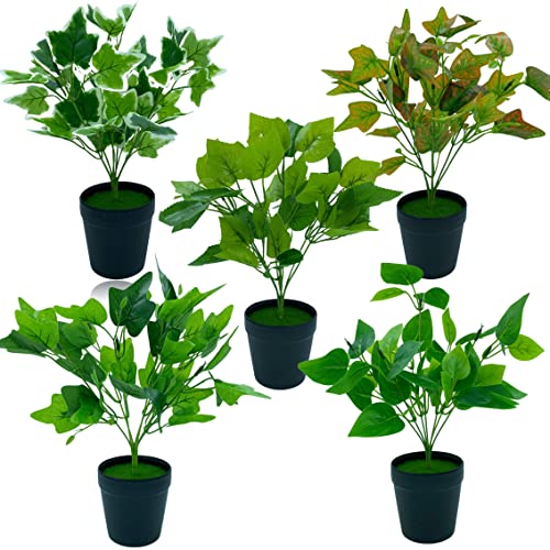 "Bring Life to Your Space with Stylish Tdas Artificial Plants in Pots - Perfect Home Decor Items for Indoor and Outdoor - Set of 2 (Design5) - 33 cm" "Bring Life to Your Space with Stylish Tdas Artificial Plants in Pots - Perfect Home Decor Items for Indoor and Outdoor - Set of 2 (Design5) - 33 cm"