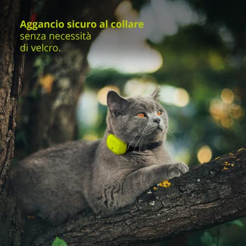 KIPPY B0BCQPJ8DJ - Image 5