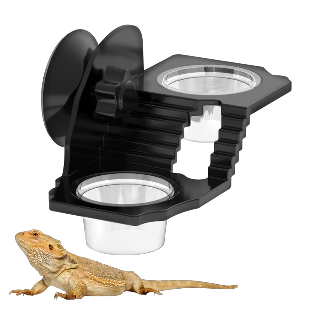 Mangeoire Suspendue pour Reptiles,Gamelle Reptiles avec Bol (1/2 Pièces),pour Lézards,Tortues,Scorpions,Mille-Pattes et Geckos a Crête