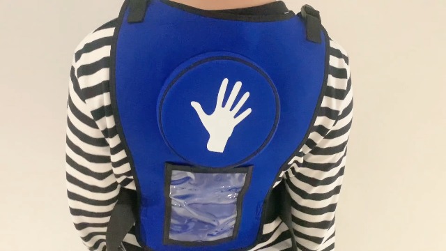 Amazon.com: Heimlik Practice Training Vest Model Education