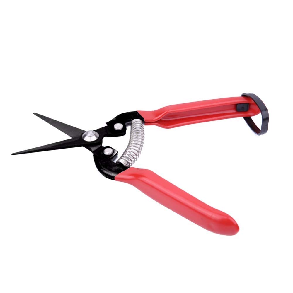 Cesoie di potatura L'innesto Giardino Forbici alto tenore di carbonio acciaio Fruit Tree Cesoie Bonsai Pruners Giardinaggio Cesoie del giardino Cesoie .Per il giardino, gli alberi, i cantieri, il parc