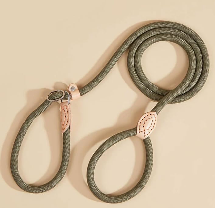 Slip Lead, Dog Training, Adjustable Anti-Choke Nylon Rope with Leather binding (Olive Green, Small)