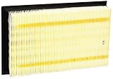 Genuine Ford Parts 1L2Z-9601-AA Air Filter