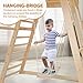 JOYMOR 8-in-1 Indoor Jungle Gym for Kids and Toddlers with Hanging-Bridge and Swing, Wooden Indoor Playground with Slide, Blackboard, Ladders for Toddler Climbers