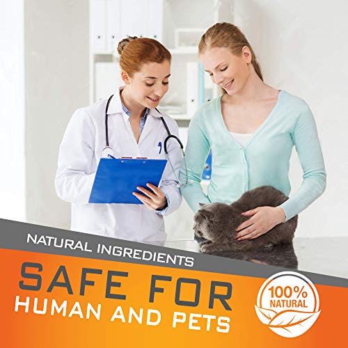 Cat Flea Collars 13 Inches - Flea Collars For Cats - Flea Treatment For Cats Lasting 12 Months - Waterproof Cat Flea Collar - Cat Flea Treatment 100% Natural Ingredients #TOP5