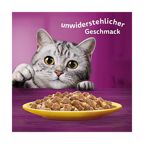 Whiskas 7+ Katzenfutter Geflügel Auswahl in Sauce – Bild 7