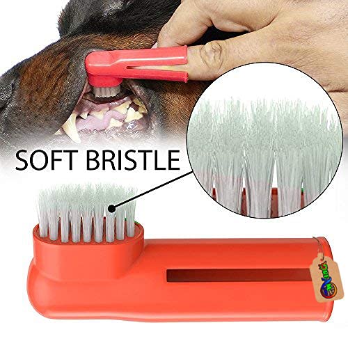 DreamAuro Pets Cleaning Dental Toothbrush Set of 2 with 1 Double Headed Toothbrush, Finger Toothbrush All Breed Cats, Dogs and Puppies (Color May Vary) 3