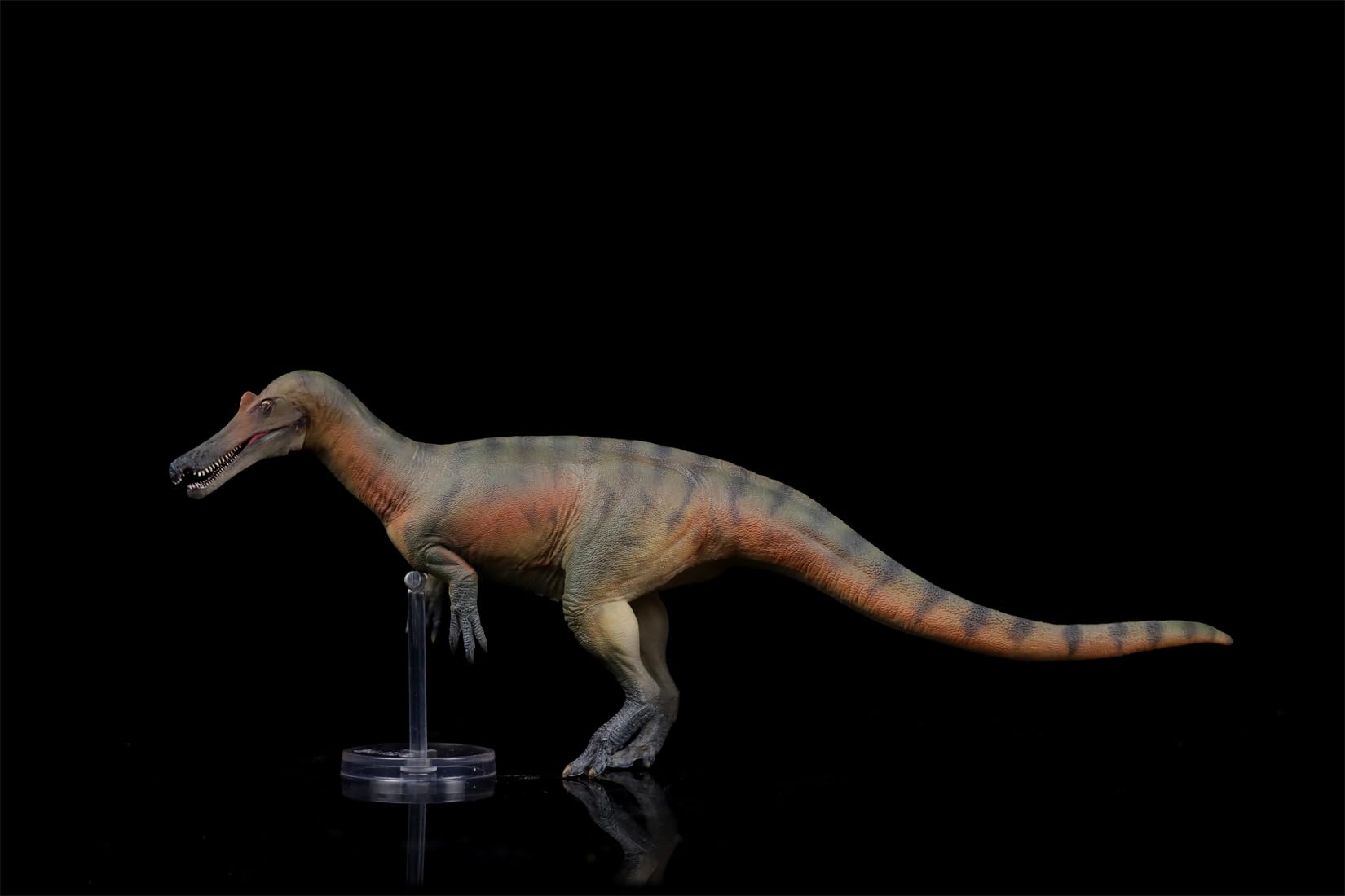 AMITD 84 Baryonyx Maxim Model SpDinosauridae Prehistoric Dinosaur Collector Animal Decor Gift