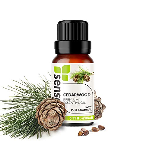 Cedarwood Essential Oil - Made in India - 100% Pure Extract Cedarwood Oil Therapeutic Grade (0.33 Fl Oz / 10 ml)