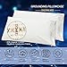 Grounding Pillow Case King Conductive Grounding Pillowcase Silver Fiber Grounding Sheet with 15ft Grounding Cord Organic Cotton Improve Sleep Reduce Pain (20x36in) 1PCS