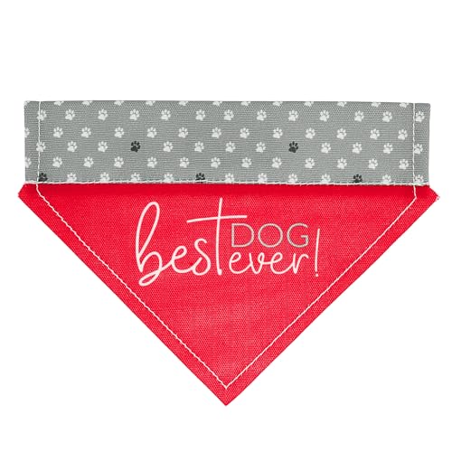 Pavilion - Best Dog Ever! - Canvas XS/Small Dog Cat Over The Collar Pawprint Bandana Attachment Kitten Puppy Kitty Doggy Feline K9 Rescue Adoptive Cat Dog Pet Accessories Embellishment