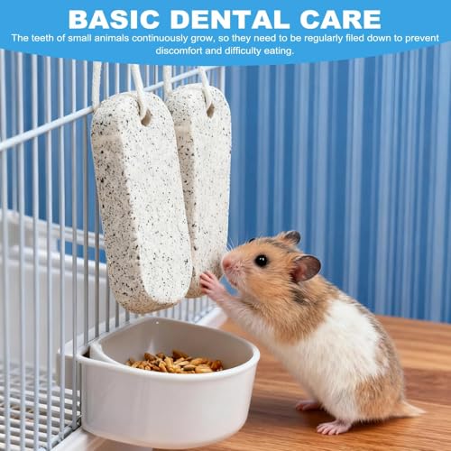 LINISITING 4 Pcs Pet Teeth Grinding Stones, Dog Rocks, Hamster Chew Toys, Small Animal Pet Teeth Grinding Block Mineral Calcium Stone for Hamsters Parrot Chinchillas Rabbits - Image 4
