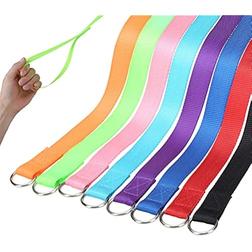 HOMIMP Slip Lead Dog Leash 6 FT- 12 PCS Bulk Colors Kennel Control Leashes for Small Medium Large Dogs Puppy Animal Rescue, Grooming - Heavy Duty Strong Nylon 6 Foot Long for Shelter, Vet, Training