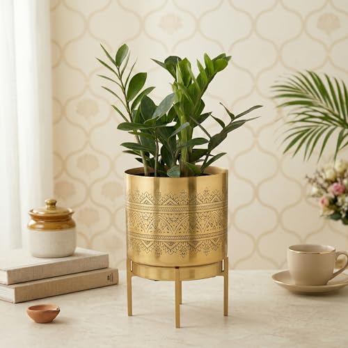 Image of Raaga Gold Metal Planters with Stand | Pack of 1| Planter - 10 Inch (Height) 7 inch (Diameter) | Planters for Living Room, Bedroom Decor (Pack of 1)