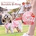 XGDMEIL Cute Strawberry Small Dog Dress with D-Ring Princess Lace Girl Female Dog Clothes Spring Summer Breathable Mesh Pet Puppy Cats Harness Dress for Shih Tzu Yorkies Chihuahua Maltese(Pink,Medium)