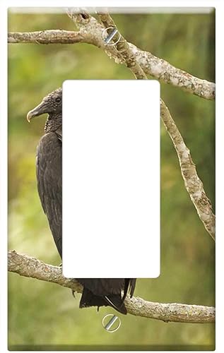Switch Plate Single RockerGFCI - Ave Bird Gallinazo Vulture Quindio