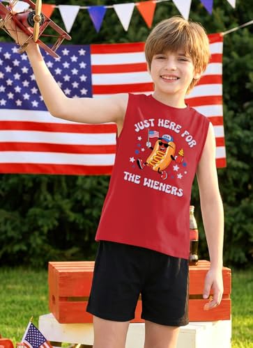 Image of Boys 4th of July Patriotic Sleeveless Tee American Flag Tank Top 6-14 Years